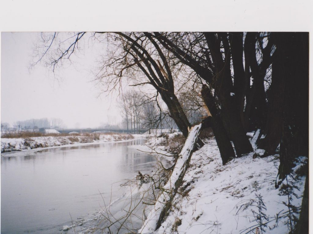 Roer bij Sint Odilienberg